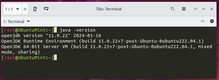 Check Java in Ubuntu