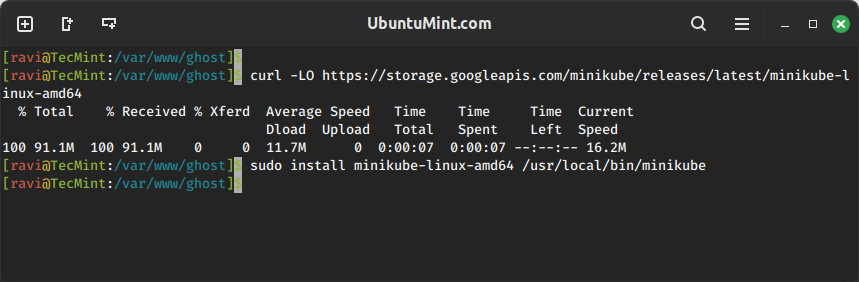 Install Minikube in Ubuntu
